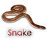 Yılan - Snake