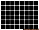 hermann_grid_illusion.jpg