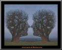 Dosya adı : illusions.jpg
Dosya boyutu : 56KB
Boyutları : 578x459
Eklenme tarihi : 15 Mar 2006 illusions.jpg