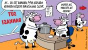 Dosya adı : 2002-10-15.jpg
Dosya boyutu : 152KB
Boyutları : 522x297
Eklenme tarihi : 02 Eyl 2012 2002-10-15.jpg