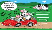 Dosya adı : 2002-10-17.jpg
Dosya boyutu : 173KB
Boyutları : 522x300
Eklenme tarihi : 02 Eyl 2012 2002-10-17.jpg