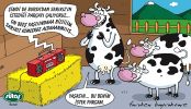 Dosya adı : 2002-11-20.jpg
Dosya boyutu : 178KB
Boyutları : 522x300
Eklenme tarihi : 02 Eyl 2012 2002-11-20.jpg