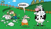 Dosya adı : 2002-12-24.jpg
Dosya boyutu : 315KB
Boyutları : 522x300
Eklenme tarihi : 02 Eyl 2012 2002-12-24.jpg