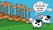 Dosya adı : 2002-9-28.jpg
Dosya boyutu : 181KB
Boyutları : 522x298
Eklenme tarihi : 02 Eyl 2012 2002-9-28.jpg