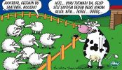 Dosya adı : 2003-1-02.jpg
Dosya boyutu : 319KB
Boyutları : 522x300
Eklenme tarihi : 02 Eyl 2012 2003-1-02.jpg