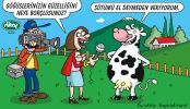 Dosya adı : 2003-1-07.jpg
Dosya boyutu : 324KB
Boyutları : 522x300
Eklenme tarihi : 02 Eyl 2012 2003-1-07.jpg
