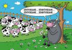 Dosya adı : 2003-1-13.jpg
Dosya boyutu : 397KB
Boyutları : 522x365
Eklenme tarihi : 02 Eyl 2012 2003-1-13.jpg