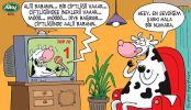 Dosya adı : 2003-1-18.jpg
Dosya boyutu : 326KB
Boyutları : 522x300
Eklenme tarihi : 02 Eyl 2012 2003-1-18.jpg