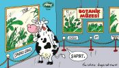 Dosya adı : 2003-1-19.jpg
Dosya boyutu : 326KB
Boyutları : 522x300
Eklenme tarihi : 02 Eyl 2012 2003-1-19.jpg