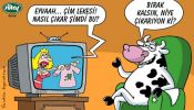 Dosya adı : 2003-1-24.jpg
Dosya boyutu : 272KB
Boyutları : 522x297
Eklenme tarihi : 02 Eyl 2012 2003-1-24.jpg