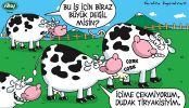 Dosya adı : 2003-1-25.jpg
Dosya boyutu : 291KB
Boyutları : 522x300
Eklenme tarihi : 02 Eyl 2012 2003-1-25.jpg