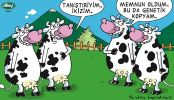 Dosya adı : 2003-2-03.jpg
Dosya boyutu : 288KB
Boyutları : 522x300
Eklenme tarihi : 02 Eyl 2012 2003-2-03.jpg