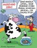 Dosya adı : 2003-2-08.jpg
Dosya boyutu : 276KB
Boyutları : 342x450
Eklenme tarihi : 02 Eyl 2012 2003-2-08.jpg