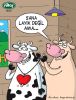 Dosya adı : 2003-2-13.jpg
Dosya boyutu : 242KB
Boyutları : 342x450
Eklenme tarihi : 02 Eyl 2012 2003-2-13.jpg