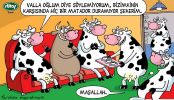 Dosya adı : 2003-2-15.jpg
Dosya boyutu : 332KB
Boyutları : 522x300
Eklenme tarihi : 02 Eyl 2012 2003-2-15.jpg