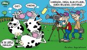 Dosya adı : 2003-3-02.jpg
Dosya boyutu : 329KB
Boyutları : 522x300
Eklenme tarihi : 02 Eyl 2012 2003-3-02.jpg