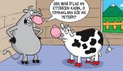 Dosya adı : 2003-3-07.jpg
Dosya boyutu : 230KB
Boyutları : 522x300
Eklenme tarihi : 02 Eyl 2012 2003-3-07.jpg