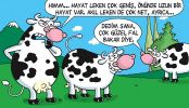 Dosya adı : 2003-3-11.jpg
Dosya boyutu : 269KB
Boyutları : 522x300
Eklenme tarihi : 02 Eyl 2012 2003-3-11.jpg