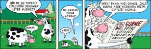 Dosya adı : 2003-3-14.jpg
Dosya boyutu : 209KB
Boyutları : 522x169
Eklenme tarihi : 02 Eyl 2012 2003-3-14.jpg