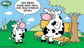 Dosya adı : 2004-11-17.jpg
Dosya boyutu : 264KB
Boyutları : 522x300
Eklenme tarihi : 02 Eyl 2012 2004-11-17.jpg