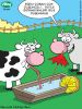 Dosya adı : 2012-07-16.jpg
Dosya boyutu : 177KB
Boyutları : 360x474
Eklenme tarihi : 03 Eyl 2012 2012-07-16.jpg