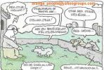 1_erenet (151).jpg