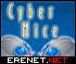 Cyber Mice Party