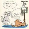 Dosya adı : CATBASK.JPG
Dosya boyutu : 117KB
Boyutları : 396x396
Eklenme tarihi : 24 May 2005 CATBASK.JPG