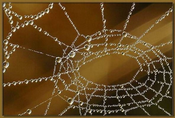 Tam boy resmi g�rebilmek i�in t�klay�n
 ============== 
