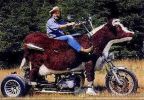 Dosya adı : ocak04_22.jpg
Dosya boyutu : 45KB
Boyutları : 440x304
Eklenme tarihi : 22 May 2005 ocak04_22.jpg