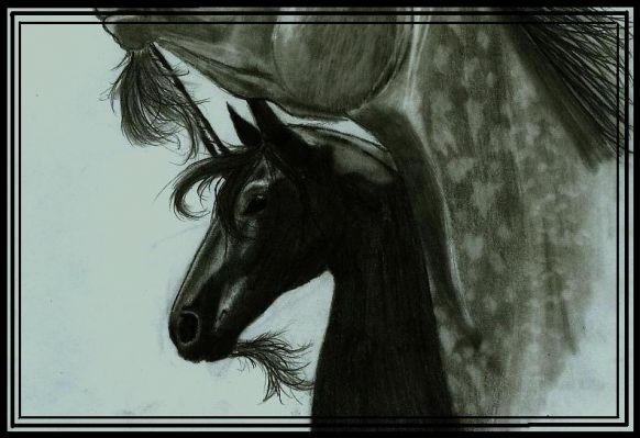 Tam boy resmi grebilmek iin tklayn
 ============== 
