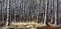 tree_illusion.jpg