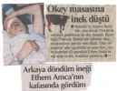Dosya adı : inek_dustu.jpg
Dosya boyutu : 58KB
Boyutları : 400x309
Eklenme tarihi : 24 May 2005 inek_dustu.jpg