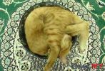Dosya adı : erenet.net-18458.jpg
Dosya boyutu : 67KB
Boyutları : 500x339
Eklenme tarihi : 21 Nis 2009 erenet.net-18458.jpg