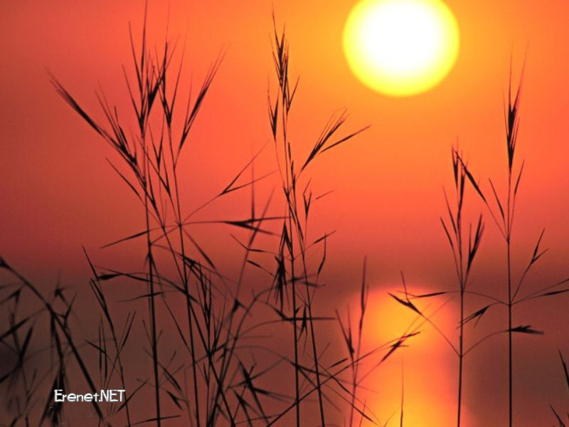 Bu pencereyi kapatmak i�in resime klikleyin