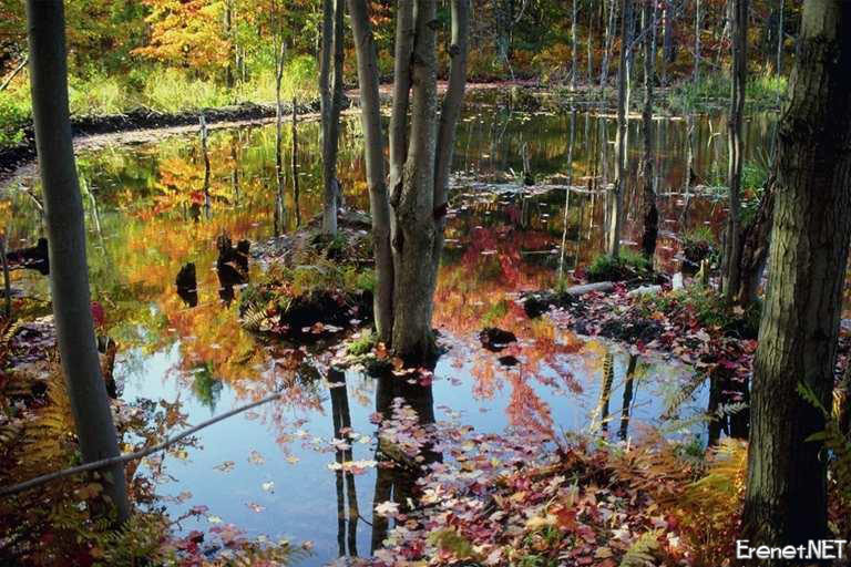 Bu pencereyi kapatmak i�in resime klikleyin