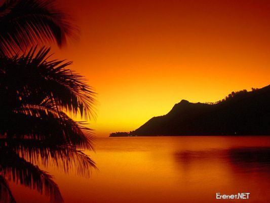 Tam boy resmi grebilmek iin tklayn
 ============== 
