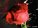 Dosya adı : erenet10.JPG
Dosya boyutu : 77KB
Boyutları : 800x600
Eklenme tarihi : 06 Şub 2006 erenet10.JPG