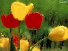 Dosya adı : erenet7.JPG
Dosya boyutu : 113KB
Boyutları : 800x600
Eklenme tarihi : 06 Şub 2006 erenet7.JPG