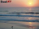 Dosya adı : erenet_wallpaper_01 (18).jpg
Dosya boyutu : 61KB
Boyutları : 800x600
Eklenme tarihi : 09 Tem 2007 erenet_wallpaper_01 (18).jpg