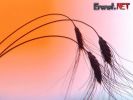 Dosya adı : erenet_wallpaper_01 (20).jpg
Dosya boyutu : 64KB
Boyutları : 800x600
Eklenme tarihi : 09 Tem 2007 erenet_wallpaper_01 (20).jpg