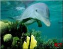 Dosya adı : erenet_wallpaper_01 (23).jpg
Dosya boyutu : 46KB
Boyutları : 614x480
Eklenme tarihi : 09 Tem 2007 erenet_wallpaper_01 (23).jpg