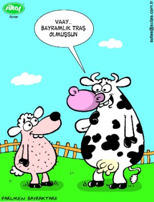 Tam boy resmi g�rebilmek i�in t�klay�n
 ============== 
