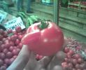 Dosya adı : bahcedom.jpg
Dosya boyutu : 31KB
Boyutları : 498x404
Eklenme tarihi : 17 Mar 2006 bahcedom.jpg