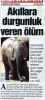 Dosya adı : 32.jpg
Dosya boyutu : 35KB
Boyutları : 236x517
Eklenme tarihi : 20 Oca 2006 32.jpg