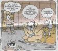 1_erenet (165).jpg