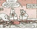 1_erenet (259).jpg